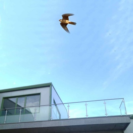 Парапети за тераса